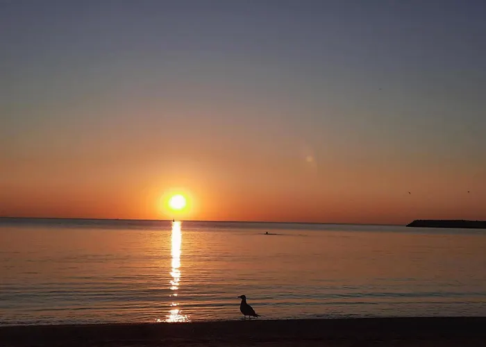 Sunset - Aproape De Plaja, Nou, Modern Κονστάντζα